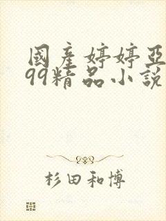 国产婷婷亚洲999精品小说