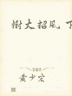 树大招风 下载