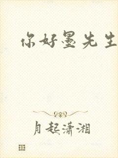 你好墨先生
