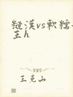 糙汉vs软糯女主h