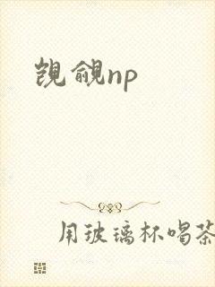 觊觎np