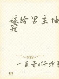 嫁给男主他爹肉宠