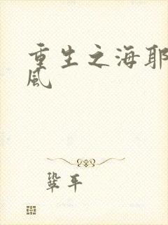 重生之海耶斯旋风