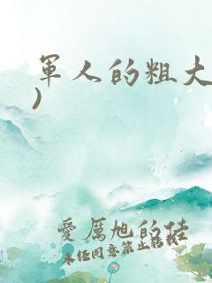军人的粗大(h)
