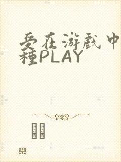 受在游戏中被各种PLAY