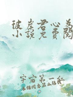 彼岸君心为我倾小说免费阅读