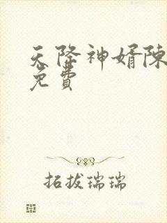 天降神婿陈黄皮免费