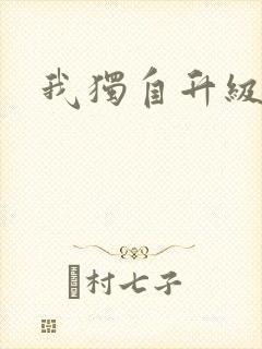 我独自升级小说