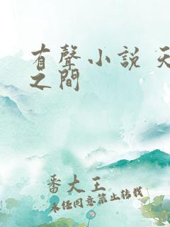 有声小说 天地之间