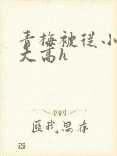 青梅被从小玩到大高h