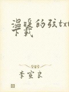 温暖的弦txt下载