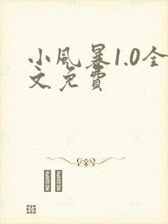 小风暴1.0全文免费