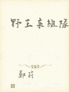 野王来组队小说