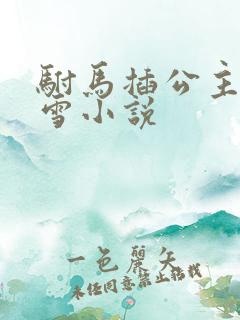 驸马插公主恋战雪小说
