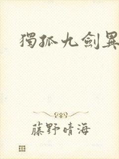 独孤九剑异世录