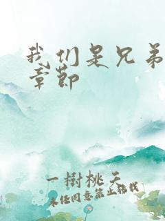 我们是兄弟最新章节