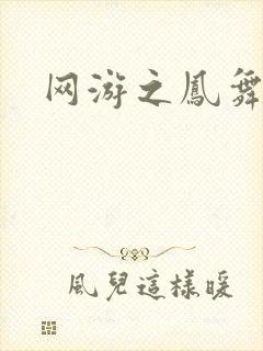 网游之凤舞九天