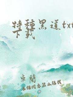 特种黑道txt下载