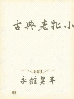 古典老牝小说