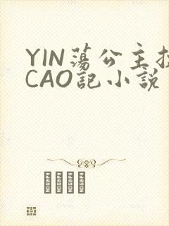 YIN荡公主挨CAO记小说