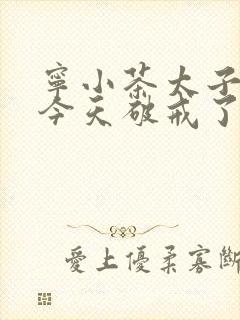 宁小茶太子殿下今天破戒了吗免费阅读