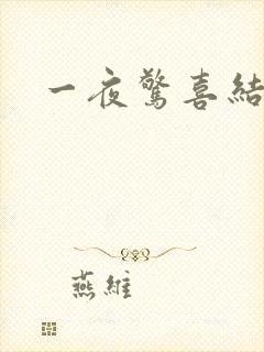 一夜惊喜结局