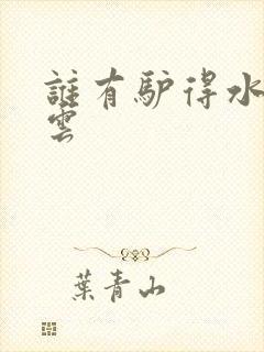 谁有驴得水百度云