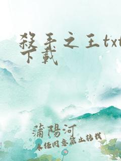 杀手之王txt下载