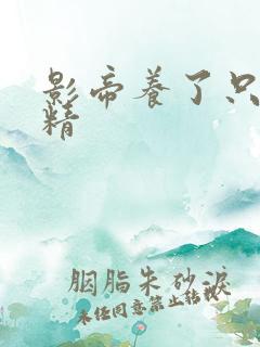 影帝养了只兰花精