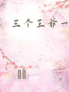 三个王爷一个妃