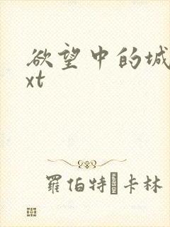 欲望中的城市txt