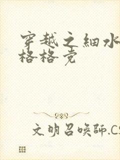 穿越之细水长流格格党