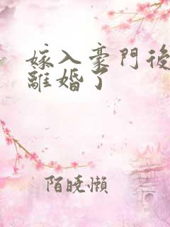 嫁入豪门后我又离婚了