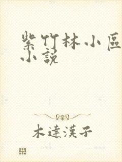 紫竹林小区快递小说