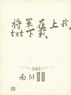 将军在上我在下txt下载