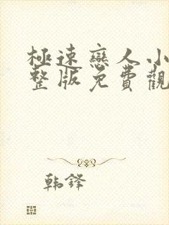 极速恋人小说完整版免费观看