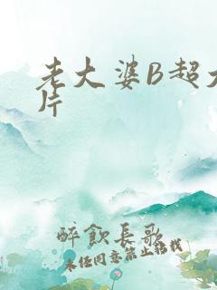 老大婆B超大图片