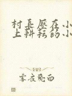 村长压在小娥身上耕耘的小说