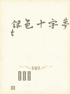 银色十字梦txt