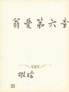 翁爱第六章