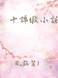 十锦缎小说