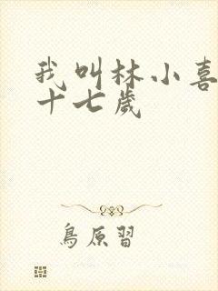 我叫林小喜今年十七岁