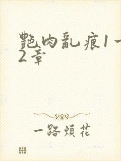 艳肉乱痕1一12章