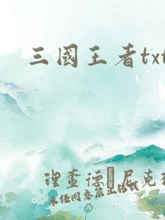 三国王者txt