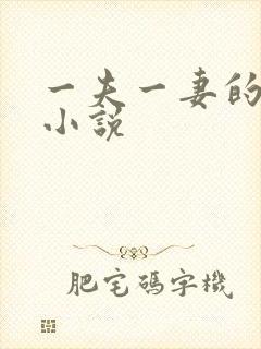 一夫一妻的玄幻小说