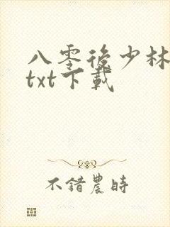 八零后少林方丈txt下载