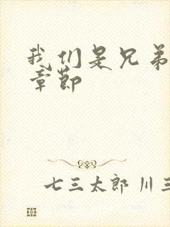 我们是兄弟最新章节