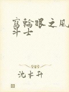 写轮眼之风流圣斗士