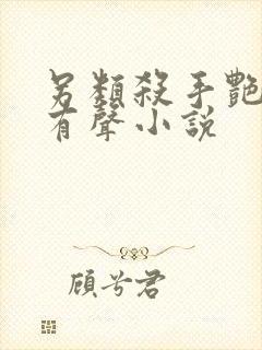 另类杀手艳福星有声小说