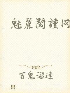 魅丽阅读网